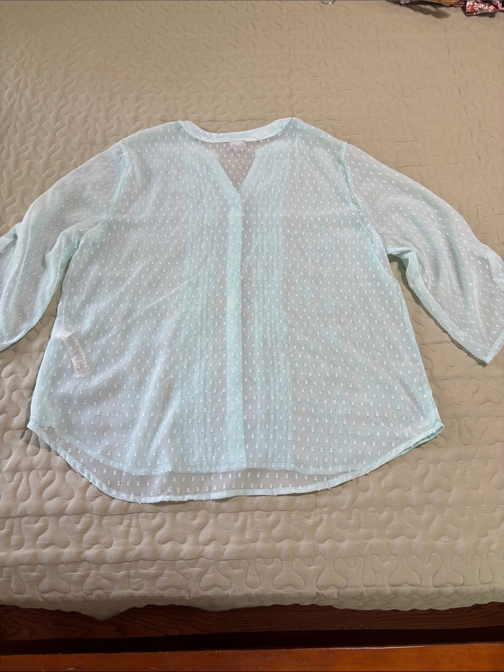Chico's Mint Blue Aqua Pintuck  Sheer Blouse Embroidery Swiss Dot Size 3 (XL/16) - Picture 13 of 14